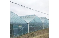 玻璃溫室大棚在種植蔬菜時的準(zhǔn)備工作，你了解嗎？
